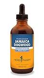 Herb Pharm Jamaica Dogwood Liquid Extract for Minor Pain - 4 Ounce