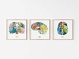 Psychology Wall Art,The Human Brain,Nurse Gift + Medical Student Gift,Neuroscience Wall Art,12"x12" Brain Art Print Set of 3,Graduation and Thoughtful Gifts for Teachers,Signed by J. Sayuri