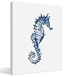 BIWSHA Vintage Coastal Beach Sea Horse Wall Art Decor, Beach House Room Decor, Nautical Ocean Marine Biology Sea Horse Beachy Canvas Wall Art Prints Decor for Home Bedroom Living Room, 11x14 Inch