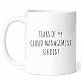 Cloud Management Teacher Mug - Virtual Solutions Coffee Cup - Funny Gift For It Managers - Scalable Resources Novelty Drinkware - 11oz Ceramic Mug For Tech Efficiency