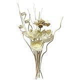Reed Diffuser Sticks, Reed Diffuser Sticks Flowers, Reed Diffusers Set for Bathroom, Reeds Diffuser for Home, Bedroom Decor, Office,12Pcs, Natural Flower
