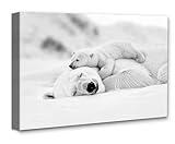 Momma Bear Snuggle Polar Bear Photography-28x36 Stretched Canvas Poster - Adorable Winter Mother and Cub Art - Arctic Wildlife Nature Animal Lover Nursery Decor for Kids Room - Great Mother's Day Gift