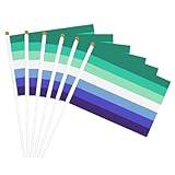 BJZFAA Trans-Inclusive Gay Men'S Pride Flag Small Flags Mini Hand Held Flags 5.5""X 8.2""Mini Banner Decoration For Parades Festival Party Six Piece