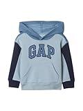 GAP baby-boys Novelty Logo Sweatshirt New England Sky 2YRS