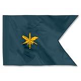 Fyon Custom Public Affairs Guidon flag US Army Guidons Personalize Flags Double sided 3ply 20x27inch Banner