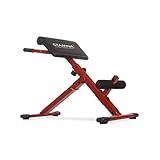 Stamina X Hyperextension Bench - Adjustable and Foldable Roman Chair with Smart Workout App for Home Workout - Up to 250 lbs Weight Capacity