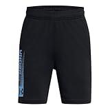 Under Armour Boys Tech Wordmark Shorts, (002) Black / / Horizon Blue, Medium