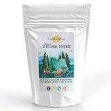 Revitalize Wellness Organic Seasonal Defense Powder Formerly Allergy Defense | Bromelain, Vitamin B3, Vitamin C, Quercetin, and NAC | No Sugar Added | Fruit Punch Flavor | 30 Servings