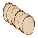 Walnut Hollow Basswood Round, Small 5-7" Wide with Live Edge Wood (Pack of 6) - for Wood Burning, Home Décor, and Rustic Weddings