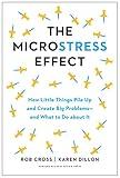 The Microstress Effect: How Little Things Pile Up and Create Big Problems--and What to Do about It