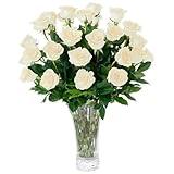 Aquarossa Farms 2 Dozen White Roses Bouquet, Best Next-Day Fresh Flower for Delivery Prime, Ideal for Birthdays, Get Well Gift for Women, Anniversary, Sympathy, Congratulations, Thank You