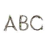 CTP Rustic Twigs Punch-Out Letters for Classroom – Essential Homeschool Supplies – Top Back to School Supplies