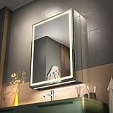 GANPE LED Lighted Bathroom Medicine Mirror Cabinet with Sockets & USBs, Anti-Fog Dimmable Light and Color Adjustment, Antirust and Easy to Install Aluminum Cabinet (20 * 28 inch)