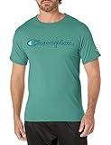 Champion mens Champion Men's Classic T-shirt, Graphic Script T Shirt, Deep Green Palm-586n9a, Large US