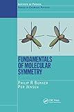 Fundamentals of Molecular Symmetry (Series in Chemical Physics)