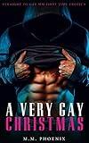 A Very Gay Christmas: Straight to Gay MM First Time Erotica (Curious)