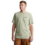Carhartt Men's Relaxed Fit Lightweight Short-Sleeve Script Patch T-Shirt, Sage, Large