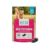 VetIQ Multivitamin Supplement for Dogs, Supports Active Brain Function, Immune System, and Digestive System, Hickory Smoke Flavored Dog Multivitamin, Made in The USA, 60 Count