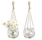 SAILINGSTORY Hanging Glass Plant Terrarium 5" Glass Planter Propagation Stations Flower Vase Clear Set of 2 Pack