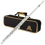 Yasisid Closed Hole C Flute 16 Keys Instrument for Student Beginners with Cleaning Kit, Stand, Carrying Case, Gloves and Tuning Rod