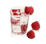 LSR LORESO Mini Plastic Shot Cups 48pcs 2 Oz - Round Clear Hard Plastic Shooter Dessert Cup for Serving Drink, Dessert, Sampling & Tasting – Reusable 48CT