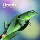 2025 Lizards Monthly Wall Calendar by Bright Day, 12 x 12 Inch Cute Nature Photography Gift