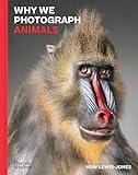 Why We Photograph Animals