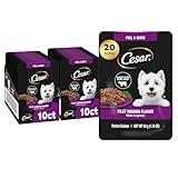 Cesar Filets in Gravy Wet Dog Food Filet Mignon Flavor, 1.76 oz. Mini-Pouch (20 Count, Pack of 1)