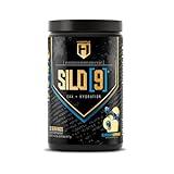 HOSSTILE SILO[9] Essential Amino Acids, EAA & BCAA Powder, Electrolyte Hydration Support, Enhance Muscle Recovery, Build Lean Muscle, Pre or Post Workout Drink, Blueberry Lemonade, 30 Servings