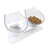 QIYADIN Tilted Raised Posture Cat Food Bowl Neck Protection Anti Vomiting 15 Degree Elevated Slanted Stand Pet Bowls for Cats and Small Dogs (Double)