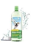 TropiClean Fresh Breath Water Additive for Dogs | Dog Breath Freshener & Teeth Cleaning Solution | No Toothpaste or Toothbrush Required | 33.8 oz