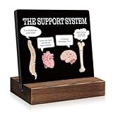Mhfpl The Support System Funny Medical Anatomy Black Acrylic Plaque Sign with Wooden Stand - Surgeon Gifts, Doctor Gifts & Nurses Day Accessories