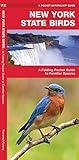 New York State Birds: A Folding Pocket Guide to Familiar Species (Nature Observation North America)