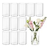 Devilfire 12Pcs Glass Cylinder vases for Centerpieces, 6 Inches Tall Flower Vases Wedding Decorations,Bulk Cylinder Flower& Plant Vases,Hurricane Candle Holder for Table Shelf, Party.