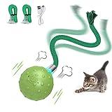 Interactive Cat Toys for Bored Indoor Adult Cats, Automatic Fast Move On Carpet, Bird Chirping & Motion Activated Cat Ball