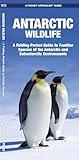 Antarctic Wildlife: A Folding Pocket Guide to Familiar Species of the Antarctic and Subantarctic Environments (Nature Observation International)