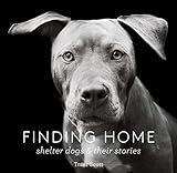 Finding Home: Shelter Dogs & Their Stories