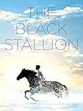 The Black Stallion