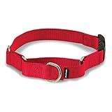 PetSafe Martingale Dog Collar with Quick-Snap Buckle - Small, 3/4 Inch, Red