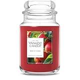Yankee Candle Large Jar Scented Candle with up to 150 Hour Burn Time, Premium Plant Wax Blend for Consistent Burn, 22 oz Jar Candle with Room Filling Fragrance, Macintosh