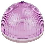 Tulz Canned-and-Jarred-Onions, 4 x 4 x 3.5 inches, Purple, (37051)
