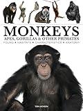 Monkeys: Apes, Gorillas & Other Primates (Mini Encyclopedias)