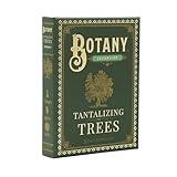 Botany: Tantalizing Trees Expansion | Family Strategy Game for Young Botanists and Adults | Ages 8+ | for 1-5 Players | Average Playtime 45-90 mins | Perfect for Family Game Night