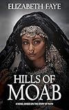 Hills of Moab: Historical fiction - based on the biblical story of Ruth (The Storied Earth: Reimagined Tales from the Bible)