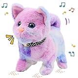 Easfan Walking Kitty Stuffed Animal Interactive Rainbow Cat Meowing Tail Wagging Head Nodding Educational Plush Toy Easter Christmas Birthday Gifts for Toddlers Kids Girls, 7"