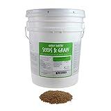 Organic Hard Red Wheat Seed: 35 Lb - Handy Pantry Brand - Grow Wheatgrass, Flour, Grain & Bread, Emergency Food Storage, Ornamental Wheat Grass - Non-GMO, Sprouting Wheat Berries - High Germination