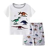 Little Boys Dinosaurs Pajamas Kids Cotton PJs Children Sleepwear Toddler Clothes for Size 4T