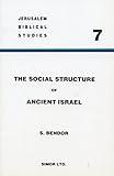 The Social Structure of Ancient Israel: The Institution of the Family (Beit'Ab) from the Settlement to the End of the Monarchy (Jerusalem Biblical Studies)