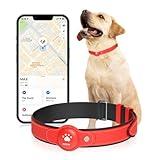 GPS Tracker for Dogs, 2 in 1 Pet Tracking Smart Collar (Only iOS), No Monthly Fee GPS Tracker Dog Collar, Real-time Location Comfortable PU Tracker Tag for Small, Medium Large Dogs(Locator Included)