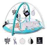 EAPFCT Baby Play Gym Activity Mat,Baby Gyms & Playmats for Babies 0 to 3 6 9 12 Months,Tummy Time Mat with 5 Toys for Stage-Based Sensory & Motor Skill Development Elephant